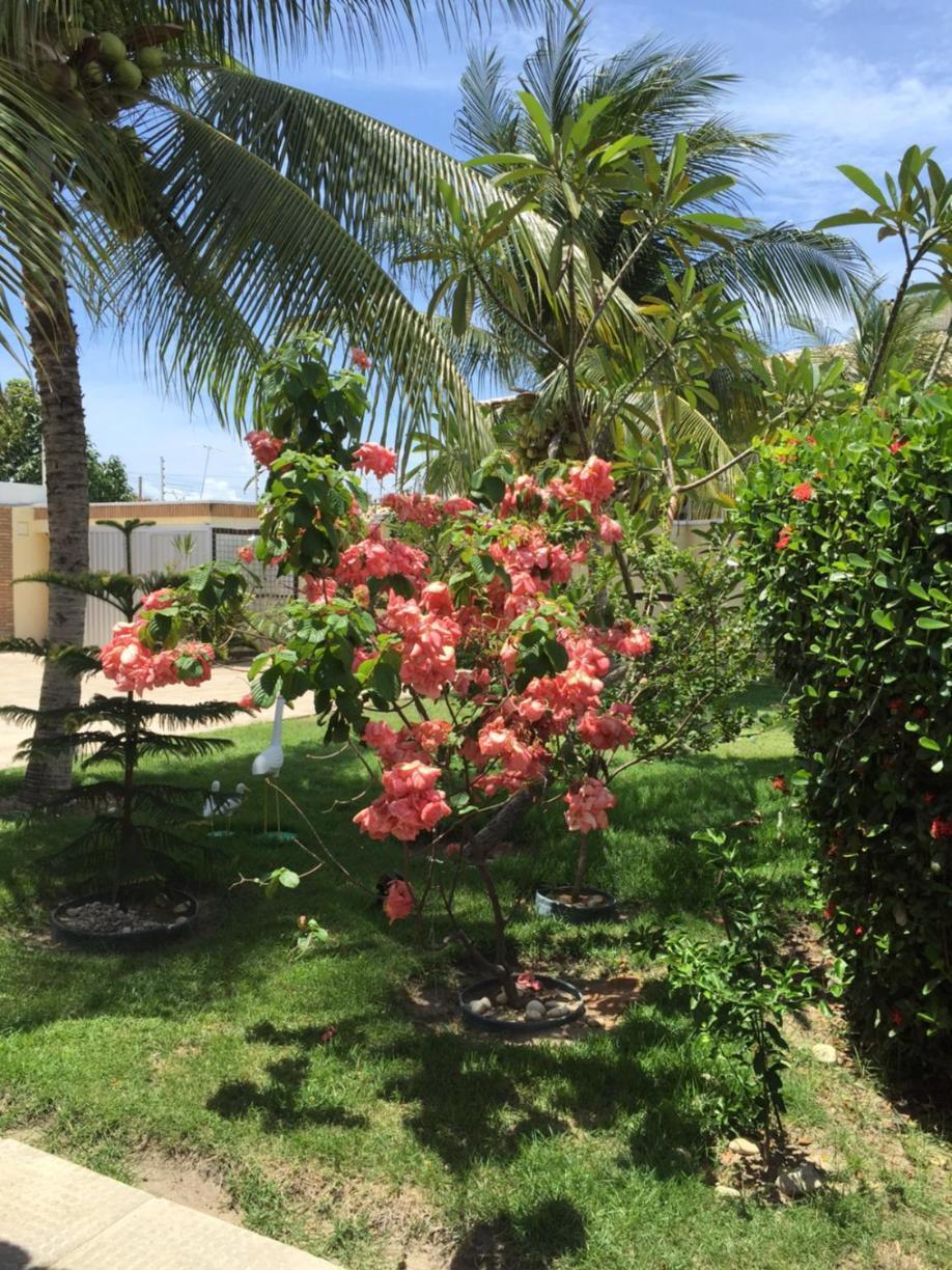 Pousada Villa Joia Barra de Sao Miguel Ngoại thất bức ảnh